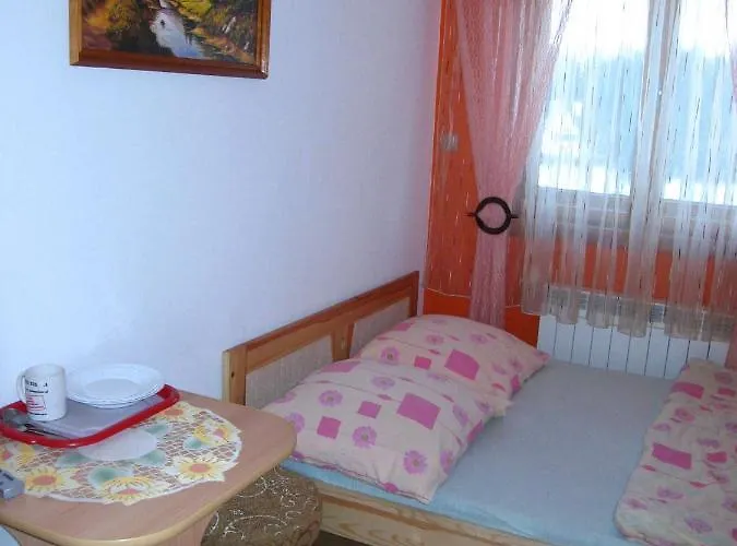 Stas בית הארחה זקופאנה