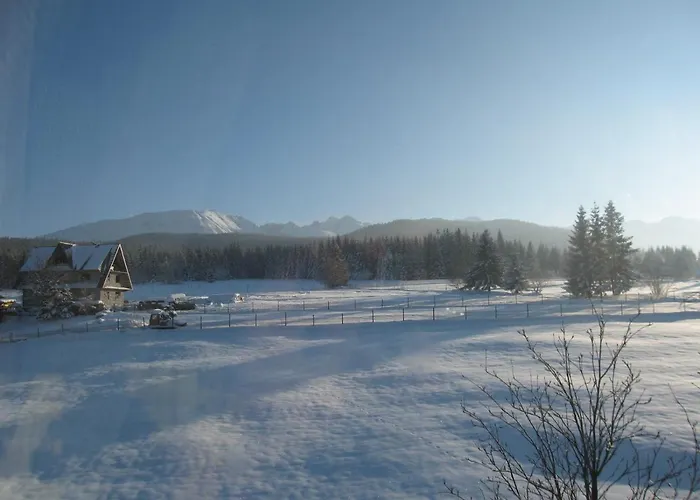 Stas 3* זקופאנה